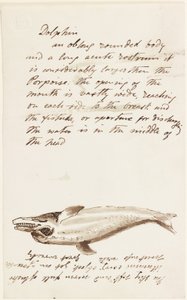 Yunus (mürekkep ve kalem ve kağıt üzerine mürekkep) by John Wilson Carmichael